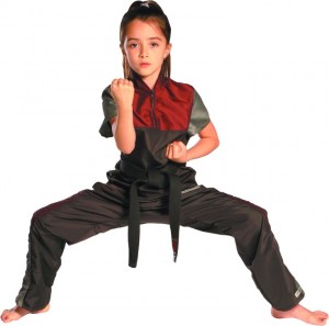 best martial arts for girls and boys in ancaster, dundas and hamilton, wood's premier martial arts